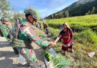 Bantu Perekonomian di Distrik Aradide, Satgas Yonif 711/Raksatama Borong Hasil Tani Warga