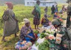 Borong Hasil Tani di Paniai, Aksi Marinir Dongkrak Ekonomi Petani Papua